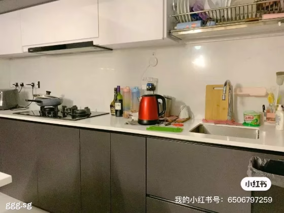 单间出租 • 碧山 •  Ola • S$1200 • 共管公寓 • 普通房 照片