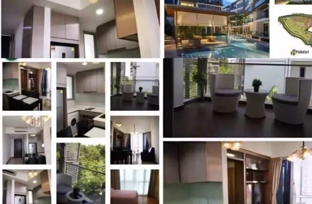 整套出租 • 武吉知马 •  Euhabitat • S$3100 • 住宅公寓 • 569ft² / 52m²
