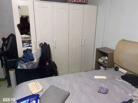 单间出租 • 巴耶利峇 • 248 Jurong East Street 24 • S$1200 • 3房(2臥室) • 主人房 照片