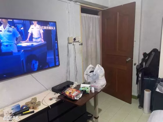 单间出租 • 巴耶利峇 • 248 Jurong East Street 24 • S$1200 • 3房(2臥室) • 主人房 照片