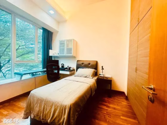 房屋出售 • 乌节 •  Cabana • S$3000000 • 聚落式排屋 •  照片