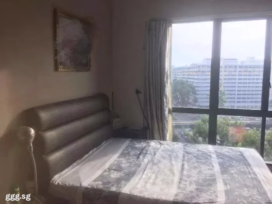 单间出租 • 芽笼 •  Palm Gardens • S$1500 • 住宅公寓 • 主人房 照片