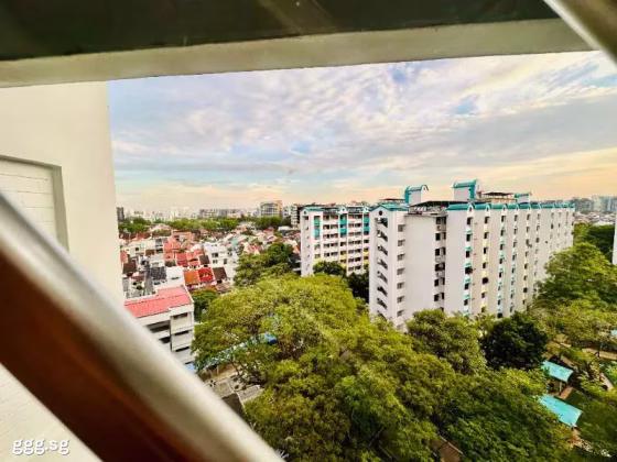 房屋出售 • 马林百列 • 21 Joo Seng Road • S$1383333 • 执行组屋 • 1636ft² / 151m² 照片