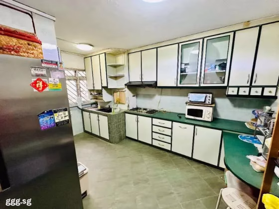 房屋出售 • 马林百列 • 21 Joo Seng Road • S$1383333 • 执行组屋 • 1636ft² / 151m² 照片