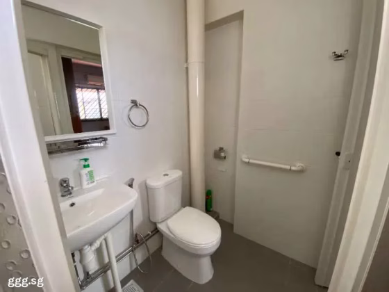 房屋出售 • 马林百列 • 21 Joo Seng Road • S$1383333 • 执行组屋 • 1636ft² / 151m² 照片