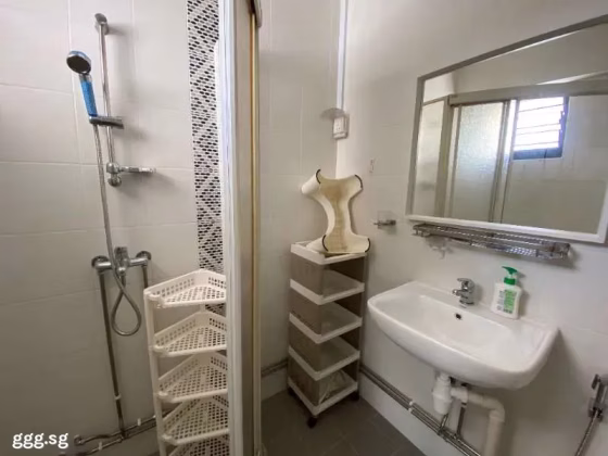 房屋出售 • 马林百列 • 21 Joo Seng Road • S$1383333 • 执行组屋 • 1636ft² / 151m² 照片