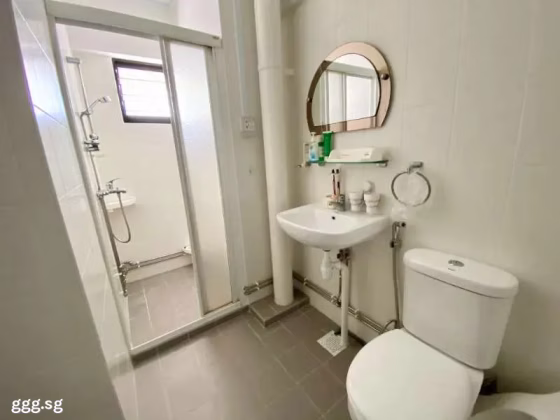 房屋出售 • 马林百列 • 21 Joo Seng Road • S$1383333 • 执行组屋 • 1636ft² / 151m² 照片