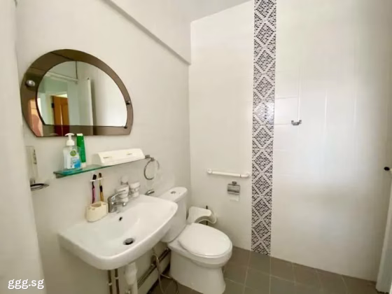 房屋出售 • 马林百列 • 21 Joo Seng Road • S$1383333 • 执行组屋 • 1636ft² / 151m² 照片