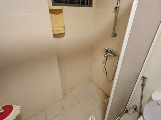 单间出租 • 西部群岛 •  The Riverside Piazza • S$2500 • 住宅公寓 • 主人房 照片