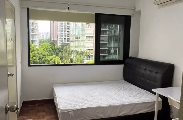 单间出租 • 纽顿 •  Visin Apartment • S$1200 • 住宅公寓 • 普通房