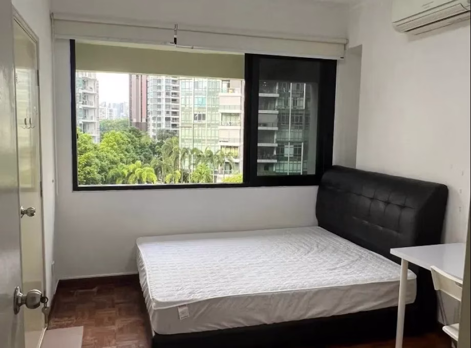 单间出租 • 纽顿 •  Visin Apartment • S$1200 • 住宅公寓 • 普通房 照片