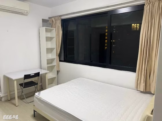 单间出租 • 纽顿 •  Visin Apartment • S$1600 • 住宅公寓 • 主人房 照片