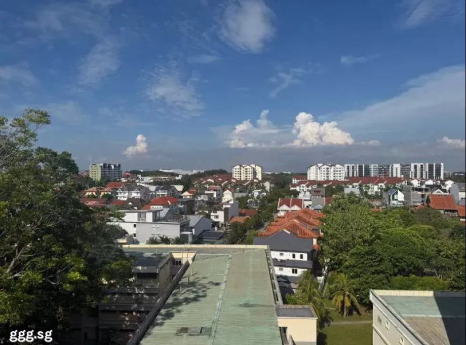 单间出租 • 西部集水区 • 160 Simei Road • S$1400 • 5房(4臥室) • 主人房 照片