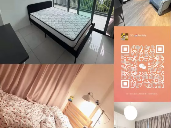 单间出租 • 梧槽 •  Emily Residence • S$1500 • 住宅公寓 • 主人房 照片