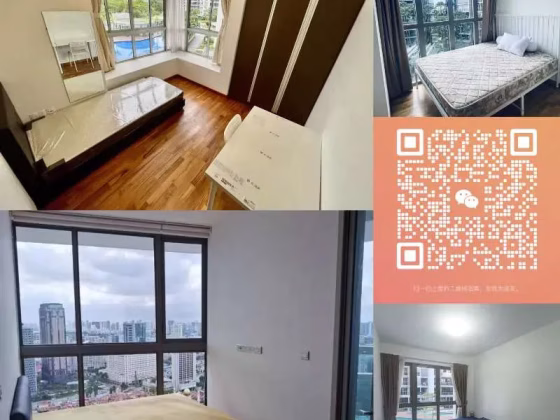 单间出租 • 梧槽 •  Emily Residence • S$1500 • 住宅公寓 • 主人房 照片