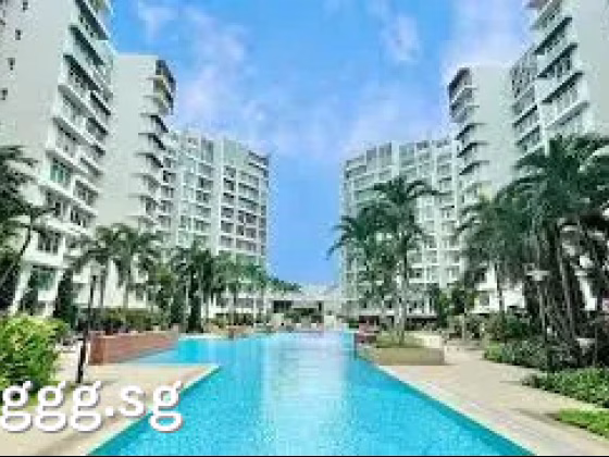 单间出租 • 碧山 •  Compass Heights • S$1100 • 住宅公寓 • 普通房 照片