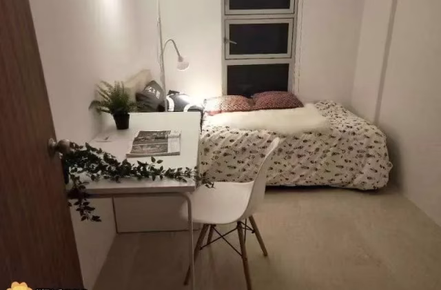 单间出租 • 纽顿 •  Ava Towers • S$1100 • 住宅公寓 • 普通房