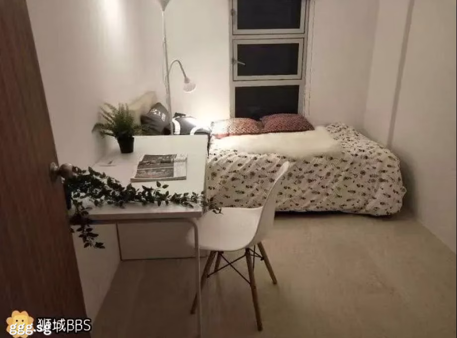 单间出租 • 纽顿 •  Ava Towers • S$1100 • 住宅公寓 • 普通房 照片