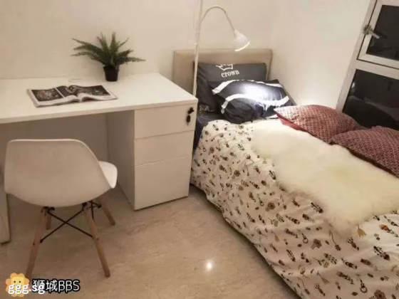 单间出租 • 纽顿 •  Ava Towers • S$1100 • 住宅公寓 • 普通房 照片