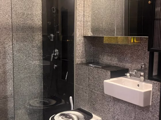 整套出租 • 中央集水区 •  Daisy Suites • S$3999 • 住宅公寓 • 796ft² / 73m² 照片