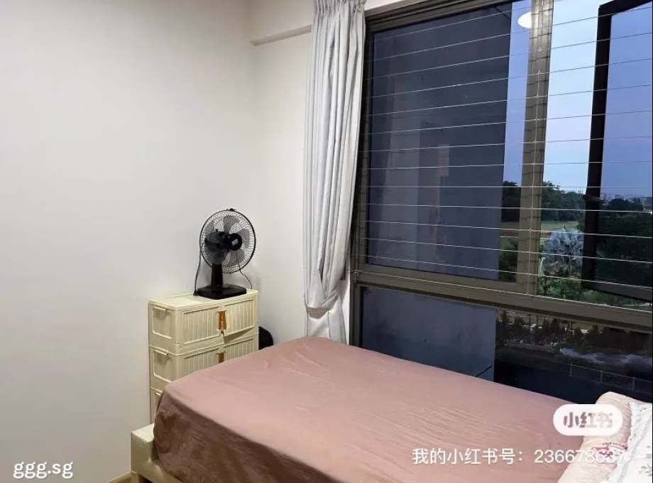 单间出租 • 后港 •  Parc Life Ec • S$1100 • 执行公寓 • 普通房 照片