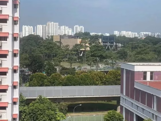 房屋出售 • 芽笼 • 514 Choa Chu Kang Street 51 • S$68 • 5房(4臥室) • 1400ft² / 130m² 照片