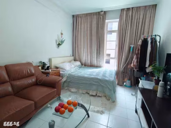 单间出租 • 博物馆 • PENHAS ROAD (208191) • S$2000 • 共管公寓 • 主人房 照片