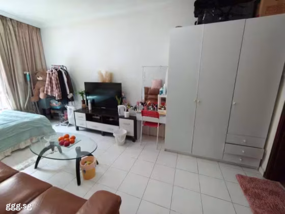 单间出租 • 博物馆 • PENHAS ROAD (208191) • S$2000 • 共管公寓 • 主人房 照片