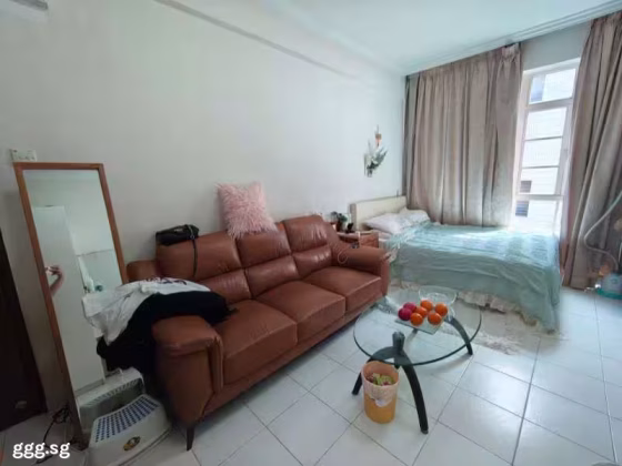 单间出租 • 博物馆 • PENHAS ROAD (208191) • S$2000 • 共管公寓 • 主人房 照片