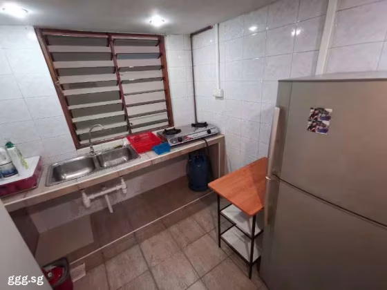 单间出租 • 博物馆 •  Textile Centre • S$950 • 住宅公寓 • 普通房 照片