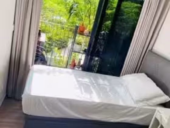 单间出租 • 新加坡河 •  Riverfront Residences • S$1200 • 共管公寓 • 普通房 照片