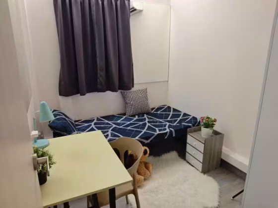 单间出租 • 纽顿 •  Novena Court • S$1100 • 住宅公寓 • 普通房 照片