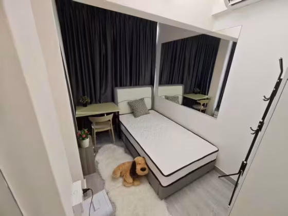 单间出租 • 纽顿 •  Novena Court • S$1100 • 住宅公寓 • 普通房 照片