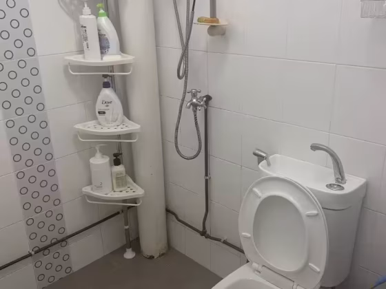 单间出租 • 市中心 • 127 Bishan Street 12 • S$0 • 4房(3臥室) • 床位出租 照片