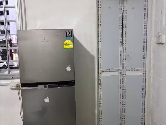 单间出租 • 巴耶利峇 • 248 Jurong East Street 24 • S$1200 • 3房(2臥室) • 主人房 照片