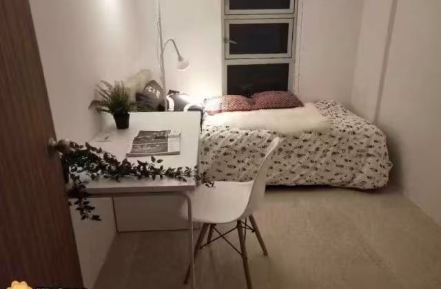单间出租 • 纽顿 •  Balestier Point • S$1100 • 住宅公寓 • 普通房