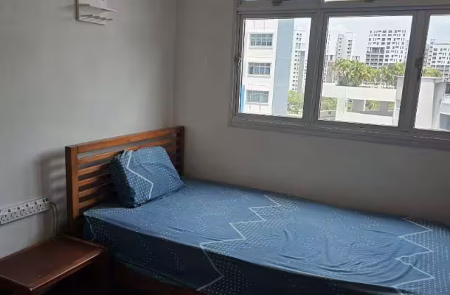 单间出租 • 碧山 • 163C Rivervale Crescent • S$500 • 3房(2臥室) • 普通房