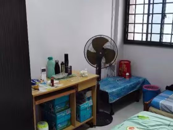 单间出租 • 西部集水区 • 261 Tampines Street 21 • S$550 • 4房(3臥室) • 普通房 照片