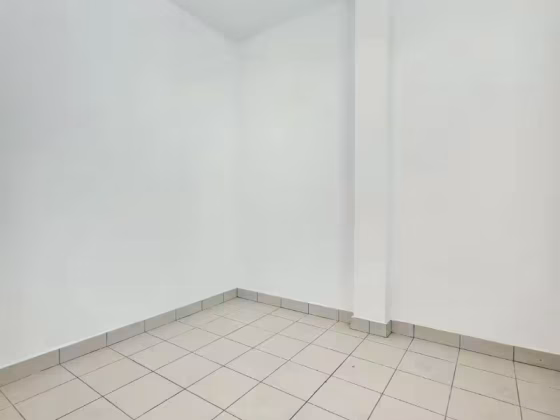 整套出租 • 新加坡河 •  People's Garden • S$8200 • 优质洋房 • 4200ft² / 390m² 照片