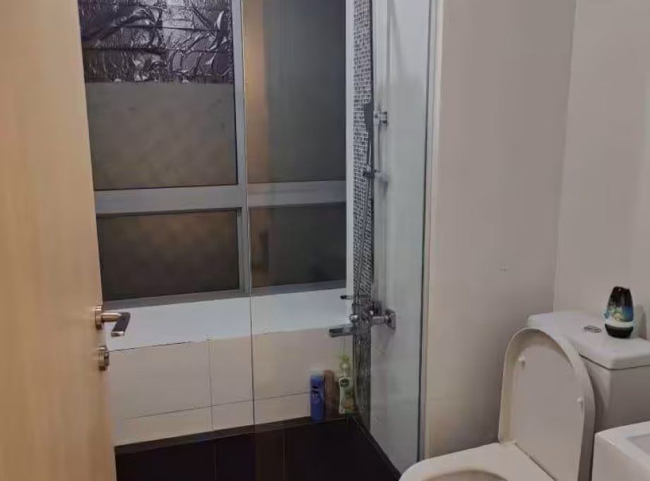 整套出租 • 南部群岛 •  Wilkie 80 • S$4500 • 住宅公寓 • 580ft² / 53m² 照片