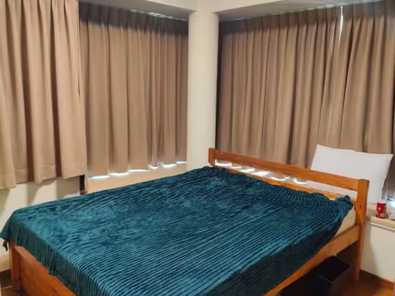 整套出租 • 南部群岛 •  Wilkie 80 • S$4500 • 住宅公寓 • 580ft² / 53m² 照片