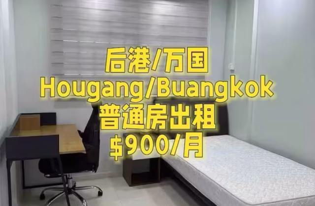 单间出租 • 新加坡河 • 553 Hougang Street 51 • S$900 • 4房(3臥室) • 普通房