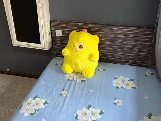 单间出租 • 后港 • 362A Sembawang Crescent • S$950 • 4房(3臥室) • 普通房 照片
