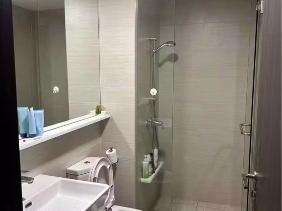 单间出租 • 碧山 •  Rivertrees Residences • S$1300 • 住宅公寓 • 普通房 照片