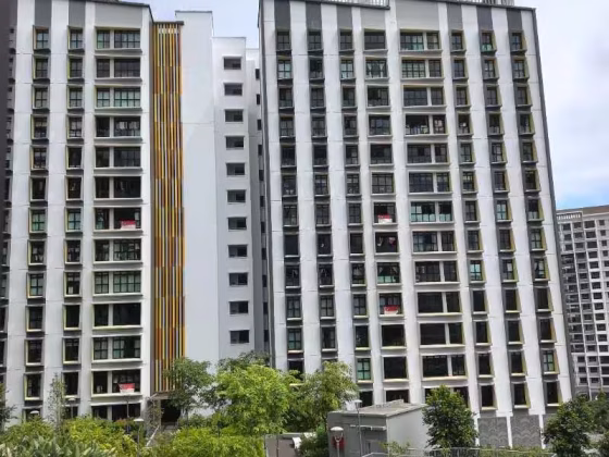 单间出租 • 西部集水区 •  Tampines Street 96 • S$1000 • 5房(4臥室) • 普通房 照片