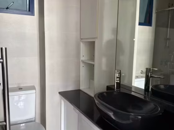 整套出租 • 诺维娜 •  Nineteen Shelford • S$4800 • 住宅公寓 • 947ft² / 87m² 照片