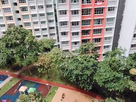 整套出租 • 碧山 • 180A Rivervale Crescent • S$3000 • 3房(2臥室) • 721ft² / 66m² 照片