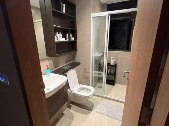 单间出租 • 西部集水区 •  Parc Central Residences • S$1200 • 5房(4臥室) • 普通房 照片
