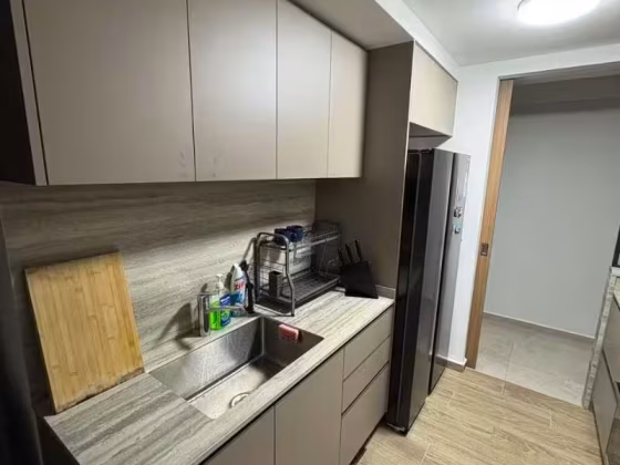单间出租 • 西部集水区 •  Parc Central Residences • S$1200 • 5房(4臥室) • 普通房 照片
