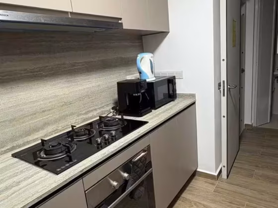 单间出租 • 西部集水区 •  Parc Central Residences • S$1200 • 5房(4臥室) • 普通房 照片